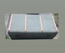 Trunk
