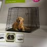 Savic Dog Cottage Dog Crate 91cm Large Image 2