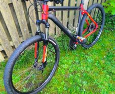 mtb