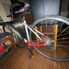 lapierre Shaper 100