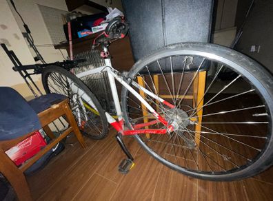 lapierre Shaper 100