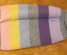 Small Dog Jumper
