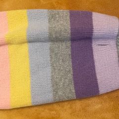 Small Dog Jumper