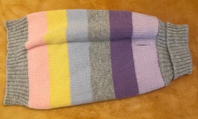 Small Dog Jumper