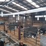 Power Livestock Ventilation System PLS Image 4