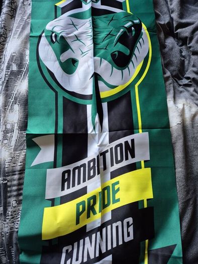 Slytherin Banner and Bag