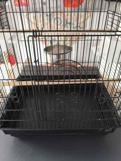 Bird cage
