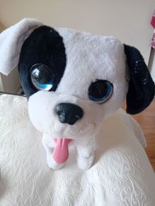 Talking Dog