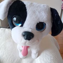 Talking Dog
