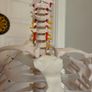 medical skeleton Image 4