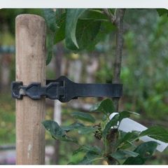 Rubber tree ties 60 cms