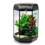 Fish Tank Image 2