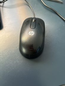 HP Mouse