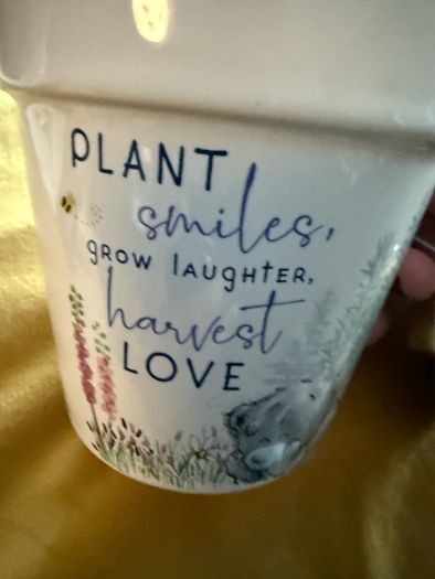 Bear in Flower Pot Cup