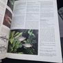 Complete Aquarium Encyclopaedia of Tropical Freshwater Fish  1 Image 8