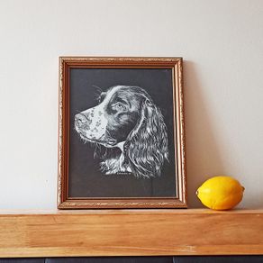 Springer Spaniel R. Russell dog art print in a wooden gold glazed frame 1978  size 23x28cm