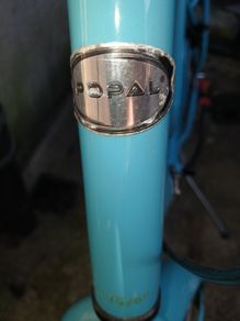 Popal bike