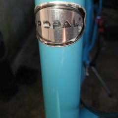 Popal bike