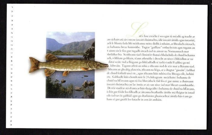 2001 Ireland Freshwater Fish Commemorative Stamp Booklet Mint Never Hinged (MNH). Photos of contents shown.