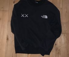 The north face x kaws jumper