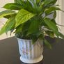 Vintage plant holder Image 2