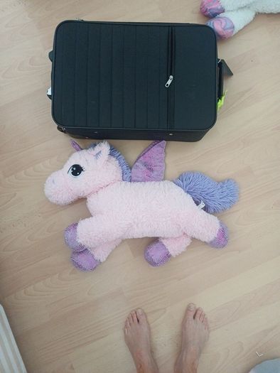 Unicorn teddy