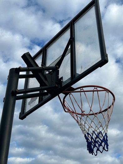 Lifetime Portable Adjustable Basketball Hoop