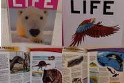 Encyclopedia of Life, fantastic Educational BOOK