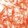 Aquaforest Liquid Artemia Freshwater 250ml Image 2