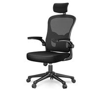 Ergonomic Office Chair with Headrest (New)