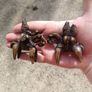 2 X Sokoto 19th Century Bronze Talisman Figures Image 3