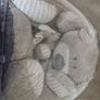 Baby play gym Image 2
