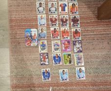 Premier league panini official sticker collection you can buy the whole box for 7 euros