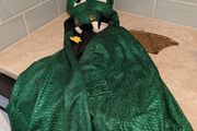 Halloween dragon costume 3/6 years old