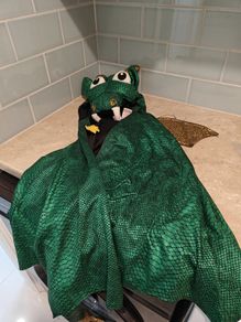 Halloween dragon costume 3/6 years old