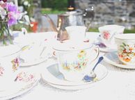 main image for ad Vintage China Hire
