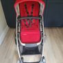 Buggy Image 2