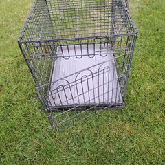 Pet crate