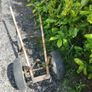 Trolley Image 6
