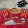 Carlow Gaelic Football Home Jersey Kit 2024 GAA Children 6 to 12 months Old Image 2