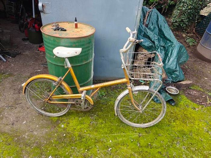 vintage and old bikes