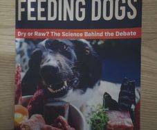 Feeding dogs