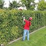 Power X-Change 18V Cordless Long Reach Hedge Trimmer - Lightweight Telescopic Hedge-Cutter With Extendable Pole - GE-HH 18/45 Li T Solo Pole Hedge Trimmer (Battery Not Included Image 5