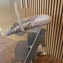 Stokke Tripp Trapp complete bundle Image 4