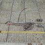 Double Headed Blow Torch Roofing Torch Propane Image 2