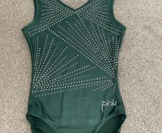 Douglas Gymnastics Club competitive training leotard
