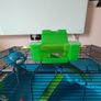 Hamster cage Image 4