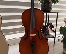 1/2 size cello