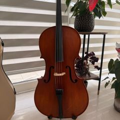 1/2 size cello