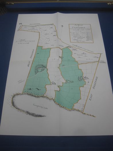 Map Of Currabee, Dreenagh, Carbery, County Cork